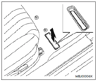 Nissan Ariya. Numéro d'identification du véhicule